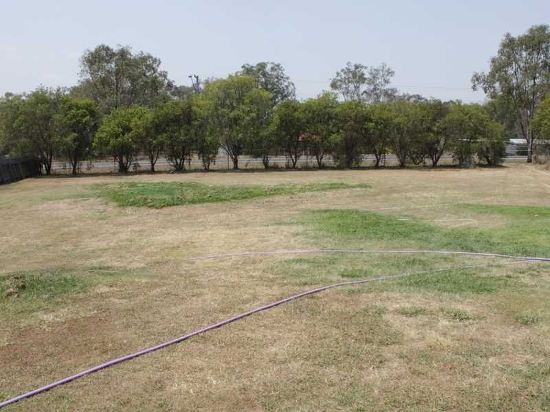 11 Poincianna Court, Walloon QLD 4306
