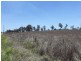 Lot 13 Prenzler Road, Silverdale QLD 4307