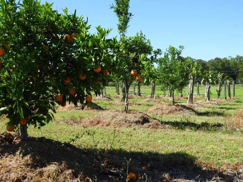 91 Mal Campbell Drive, Craignish QLD 4655