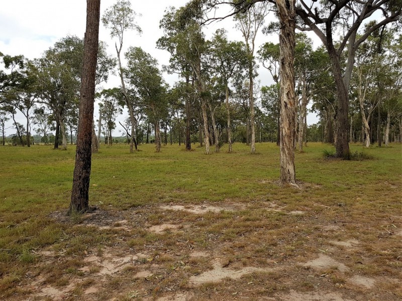 339 Dundowran Road, Walligan QLD 4655