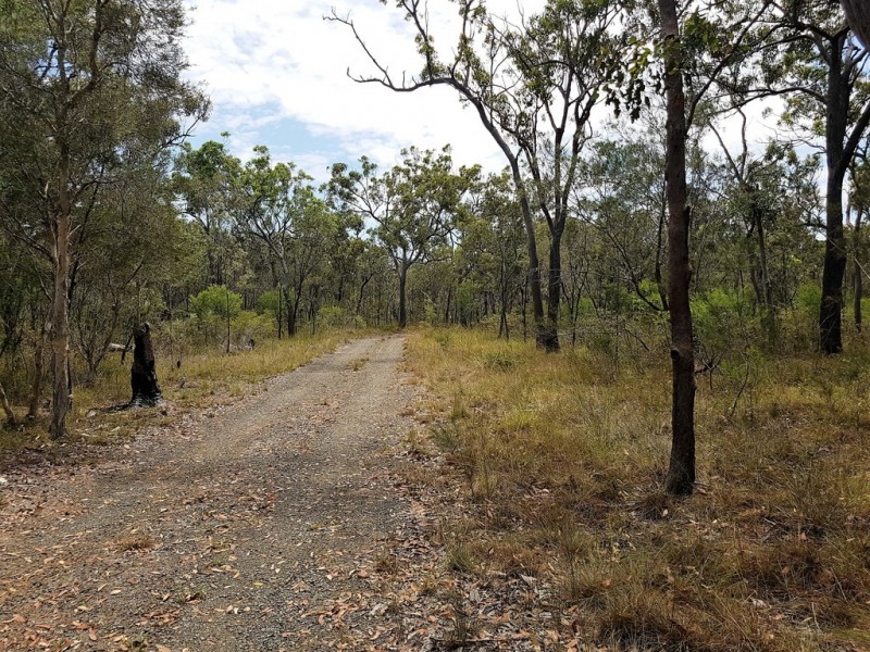 339 Dundowran Road, Walligan QLD 4655