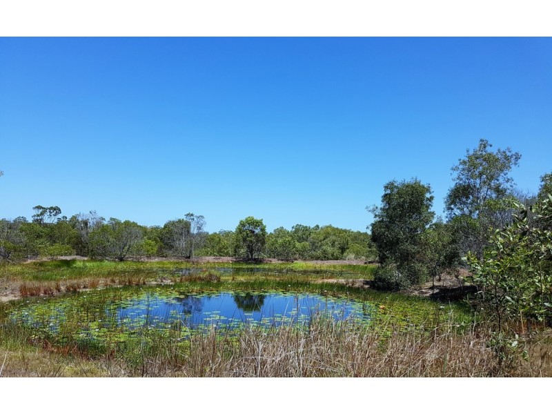 101 Parke Avenue, Sunshine Acres QLD 4655