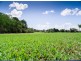 Lot 156 Bay Park Rd, Wondunna QLD 4655