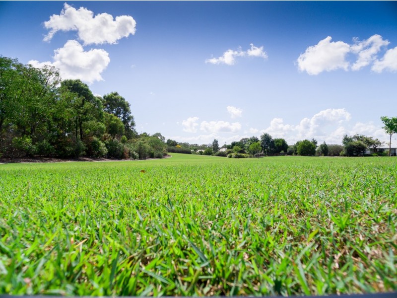 Lot 156 Bay Park Rd, Wondunna QLD 4655