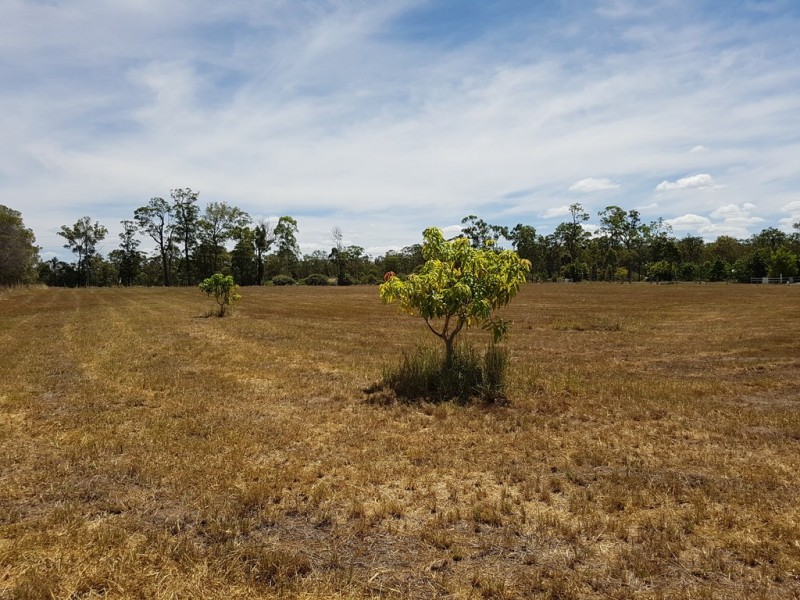 53 Suthers Road, Dunmora QLD 4650