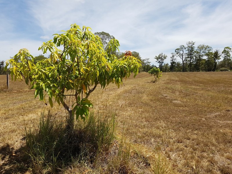 53 Suthers Road, Dunmora QLD 4650