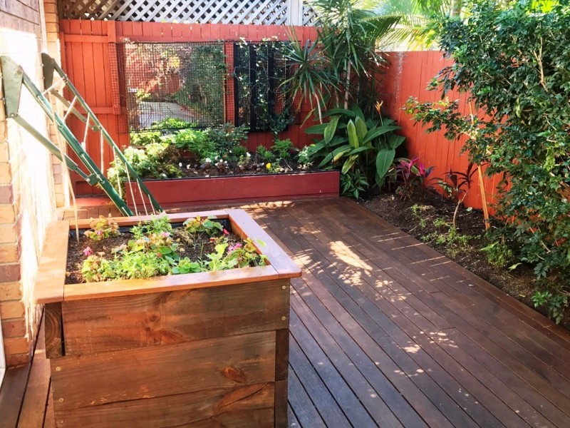 8/65 Taylor Street, Pialba QLD 4655