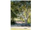 Lot 207 Bay Park Road, Wondunna QLD 4655