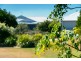 Lot 207 Bay Park Road, Wondunna QLD 4655