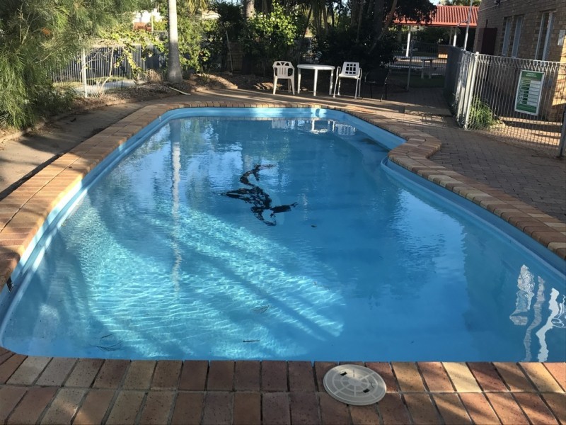 4/99 Cypress Street, Torquay QLD 4655