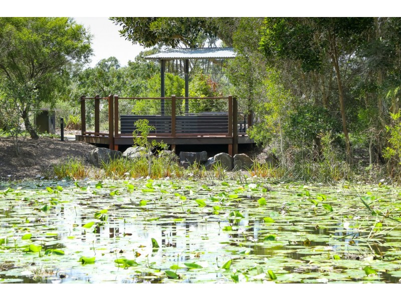 Lot 209 Bay Park Road, Wondunna QLD 4655