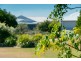 52 Bay Park Road, Wondunna QLD 4655