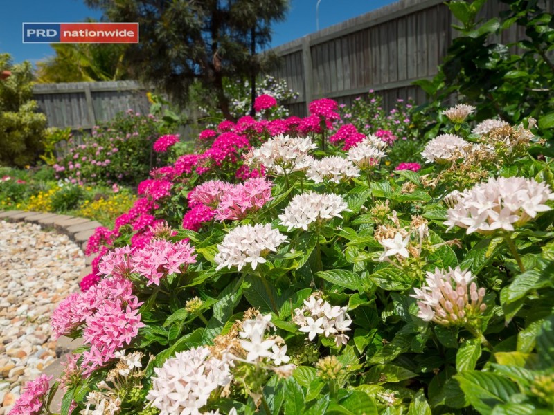 3 Adam Court, Urangan QLD 4655