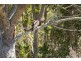 9 Seacrest Drive, Wondunna QLD 4655