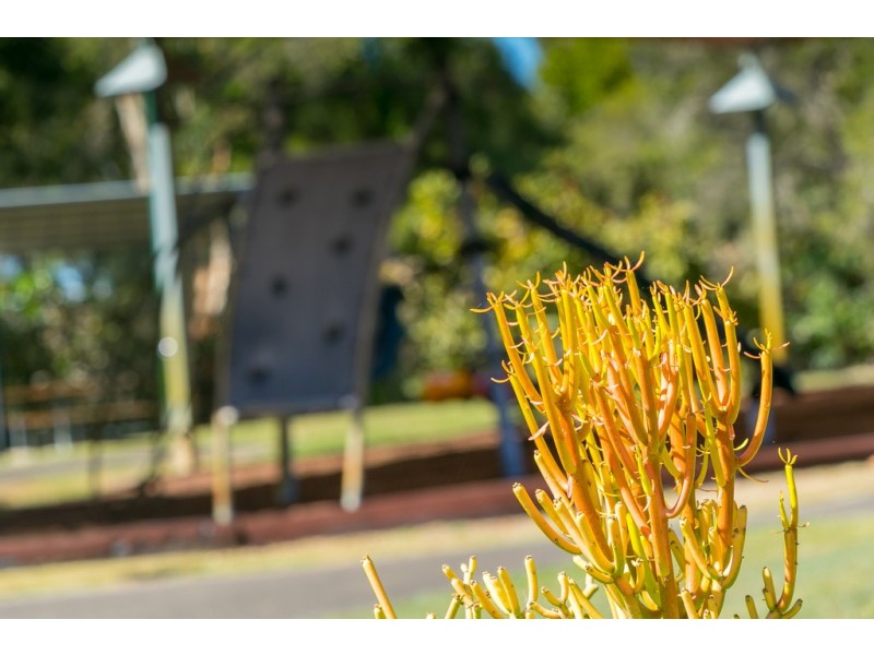 69 Bay Park Road, Wondunna QLD 4655