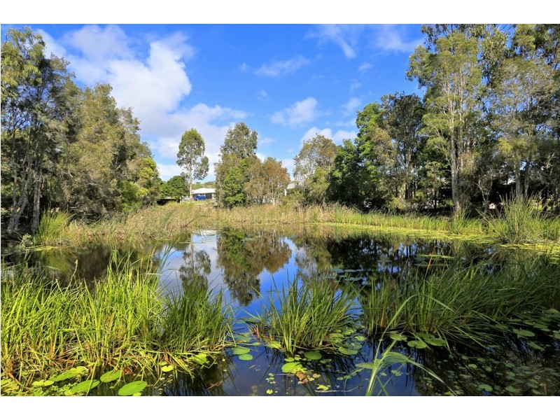 45 Bay Park Road, Wondunna QLD 4655