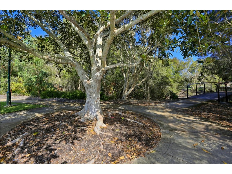 50 Bay Park Road, Wondunna QLD 4655