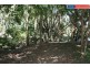 4 Anembo Drive, Torquay QLD 4655