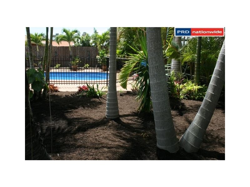 1 Whimbrel Grove, Eli Waters QLD 4655