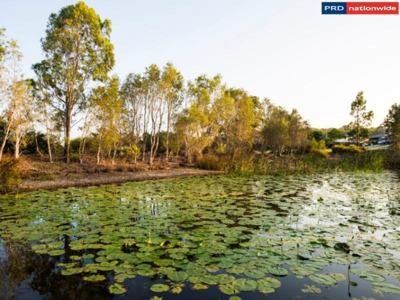 Lot 172 Bay Park Road, Wondunna QLD 4655