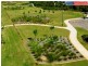 30 Parklands Boulevard, Wondunna QLD 4655