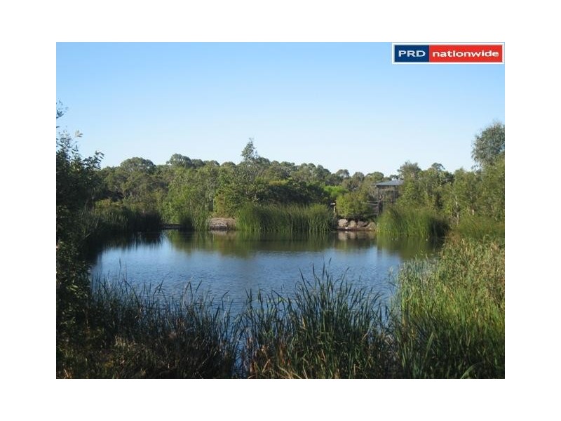 27 Parklands Boulevard, Wondunna QLD 4655