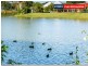 3 Sandalan Way, Urangan QLD 4655