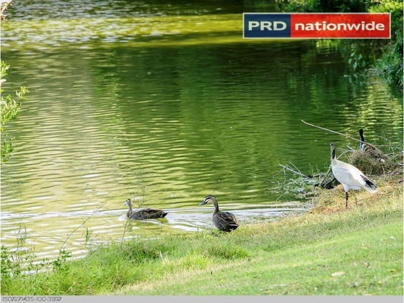 3 Sandalan Way, Urangan QLD 4655