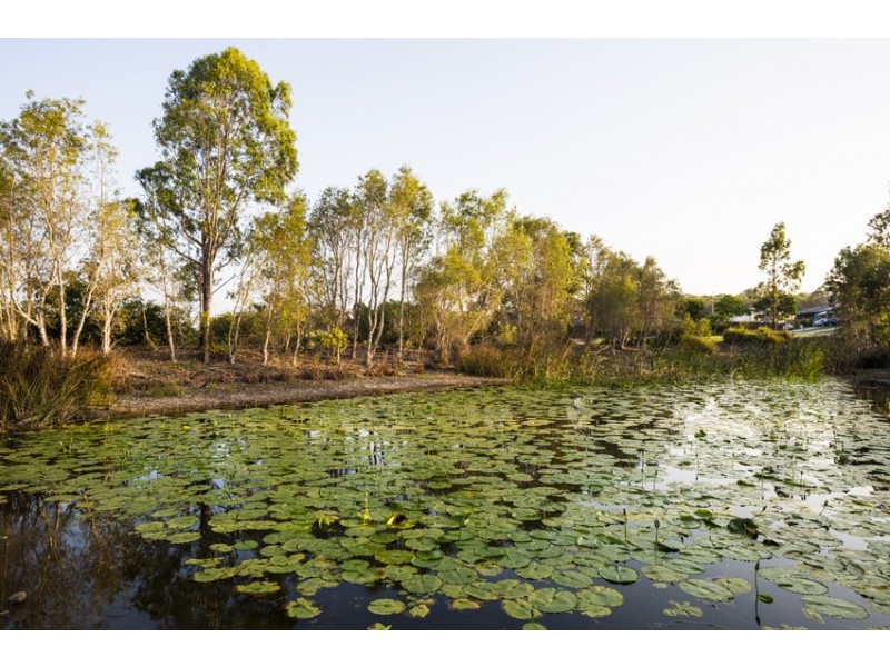 Lot 147 Bay Park Road, Wondunna QLD 4655