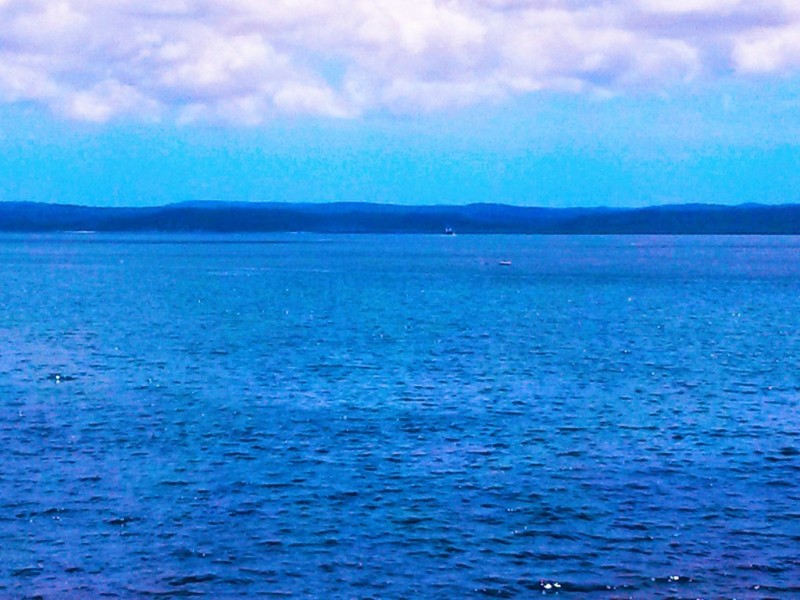 14 Brahminy Court, River Heads QLD 4655