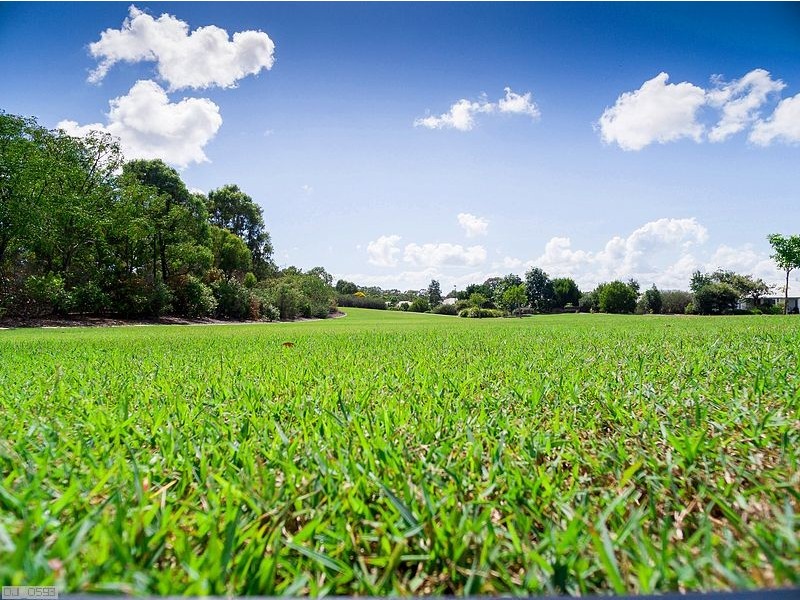 114 Bay Park Road, Wondunna QLD 4655