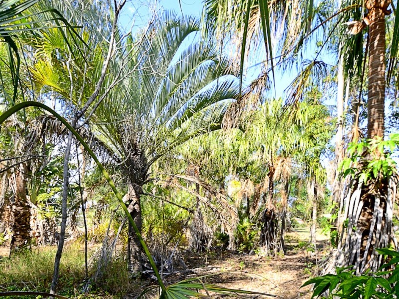 21 Annie Street, Howard QLD 4659