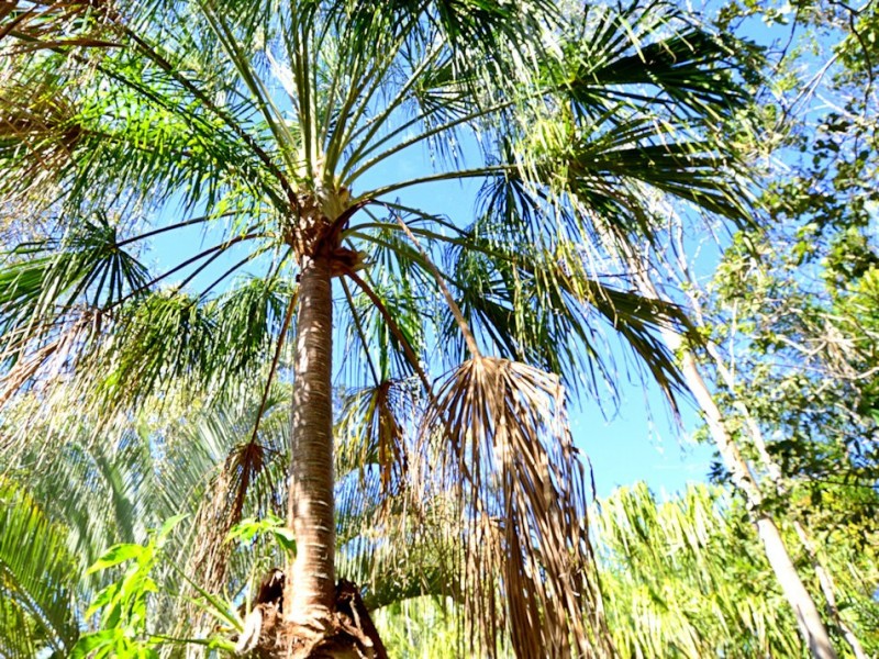 21 Annie Street, Howard QLD 4659