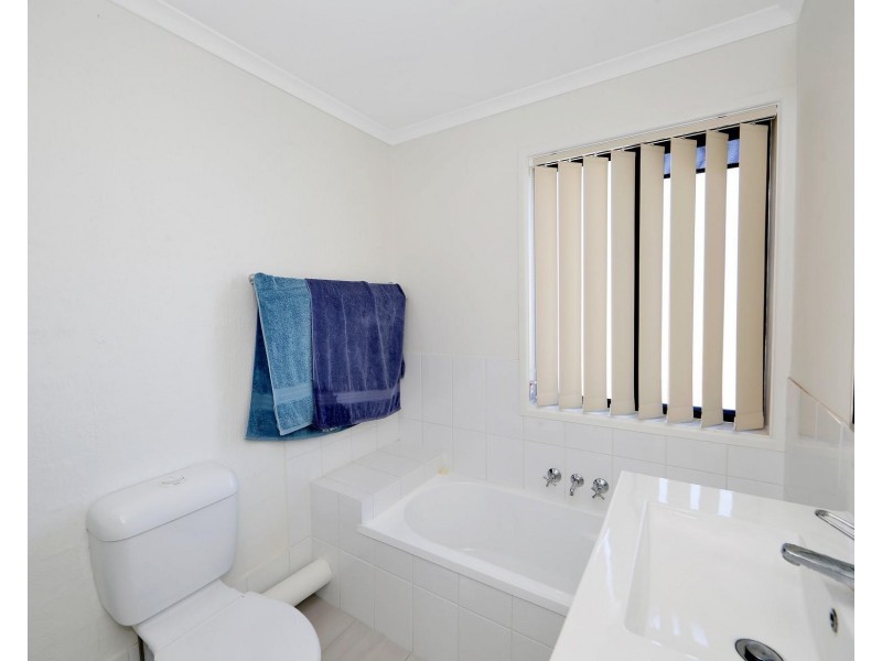 8/436 Esplanade, Torquay QLD 4655