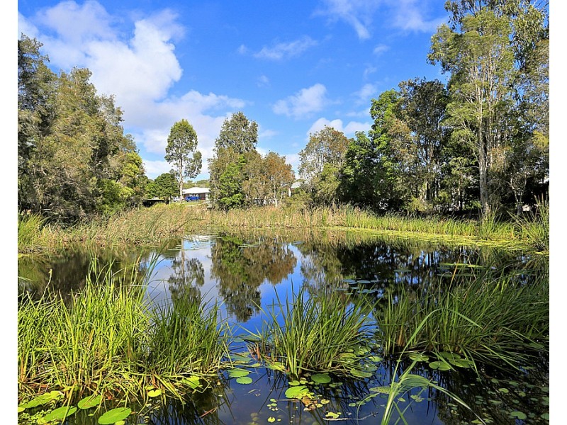 43 Bay Park Road, Wondunna QLD 4655