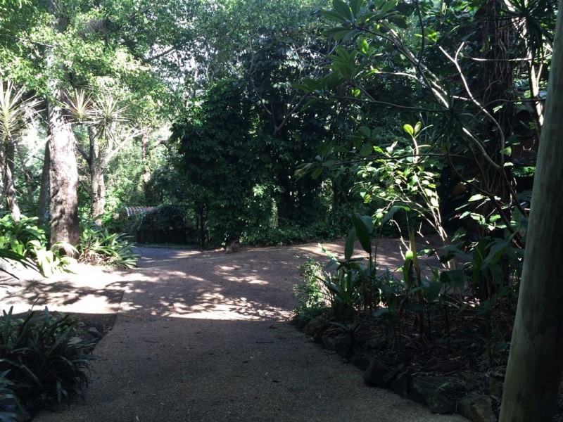 176 Wrights Road, Strathdickie QLD 4800