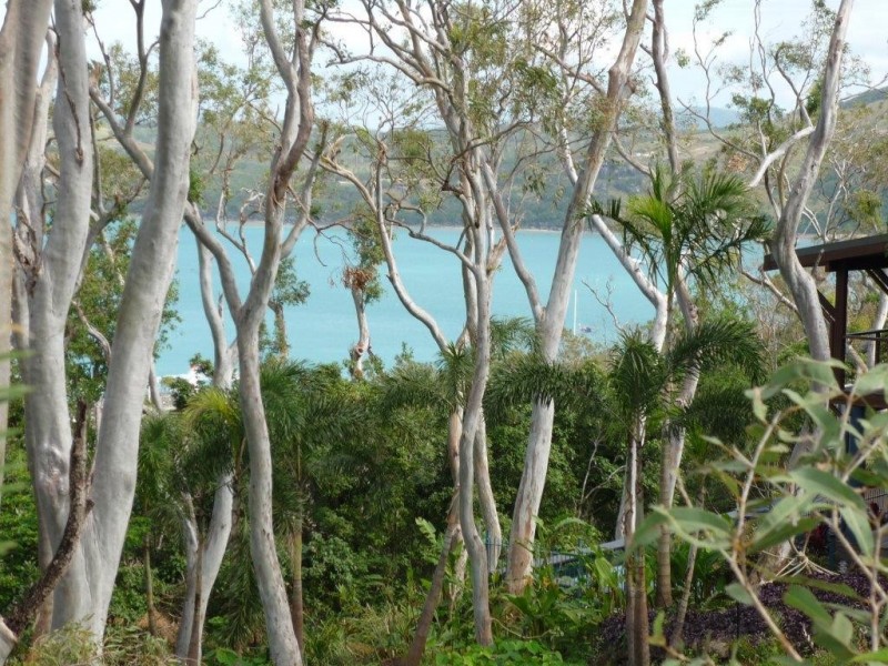 Lot LRG Cycad Close, Hamilton Island QLD 4803