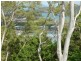 Lot LRG Cycad Close, Hamilton Island QLD 4803