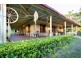 17 Domenica Road, Sugarloaf QLD 4800