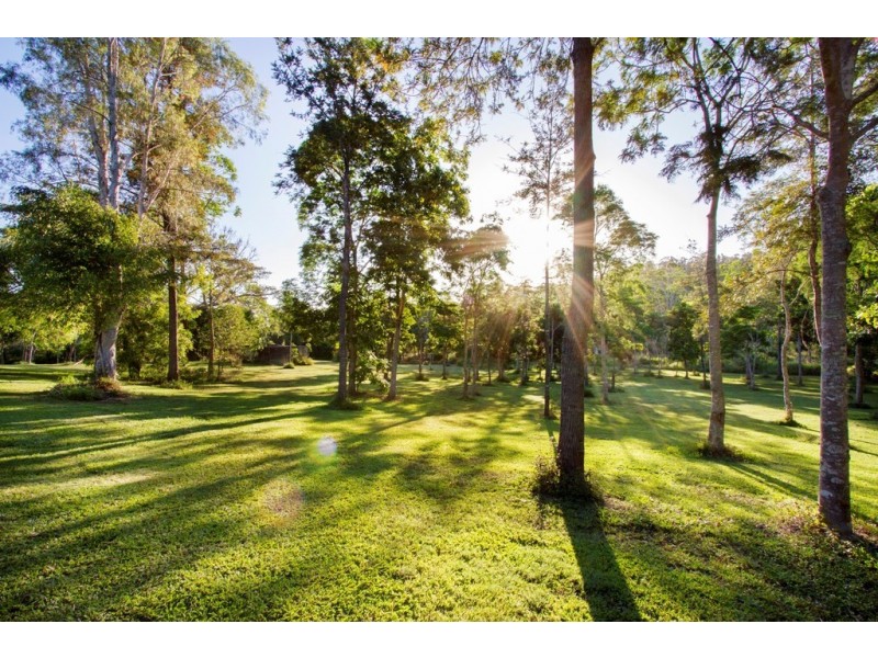 17 Domenica Road, Sugarloaf QLD 4800