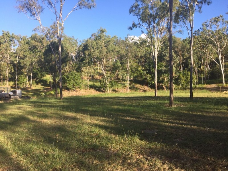 Lot 19 Botanica Drive, Woodwark QLD 4802