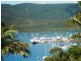 6 Shutehaven Close, Shute Harbour QLD 4802