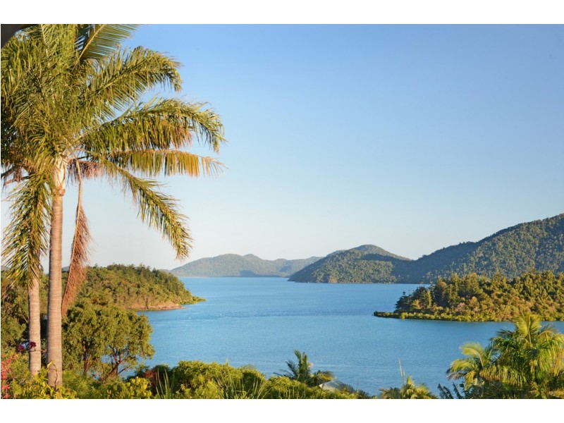 6 Shutehaven Close, Shute Harbour QLD 4802