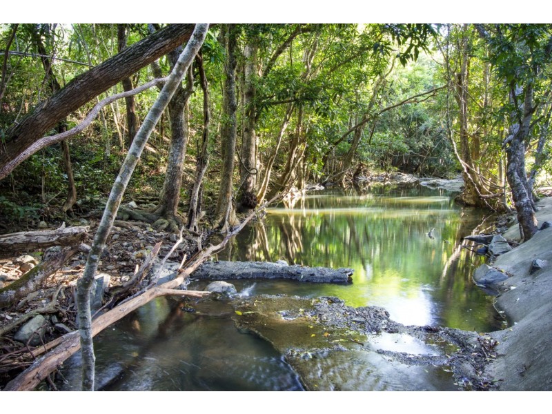 57 Forestry Road, Brandy Creek QLD 4800