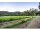 57 Forestry Road, Brandy Creek QLD 4800