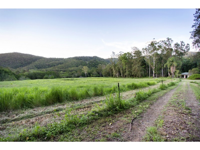 57 Forestry Road, Brandy Creek QLD 4800