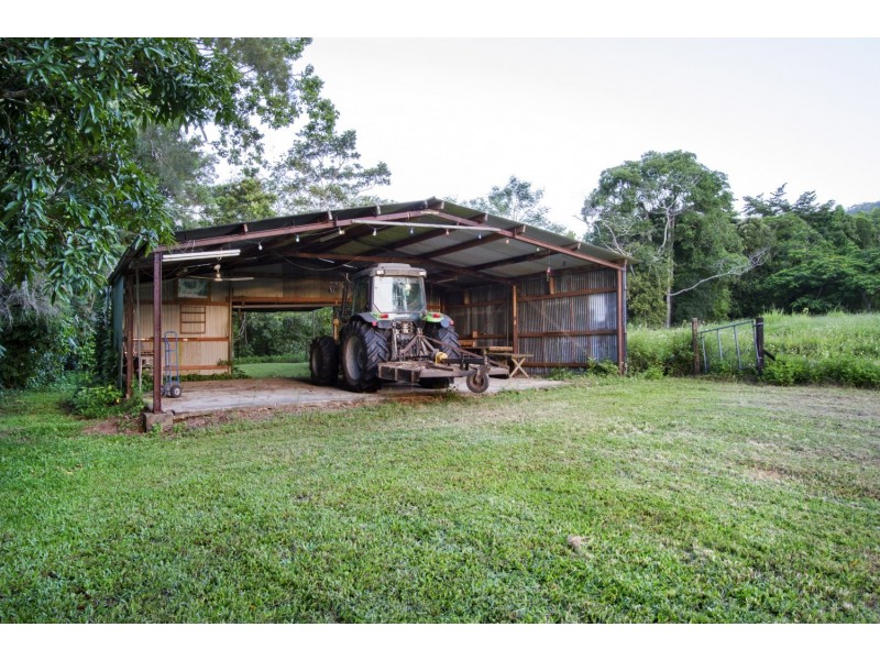 57 Forestry Road, Brandy Creek QLD 4800