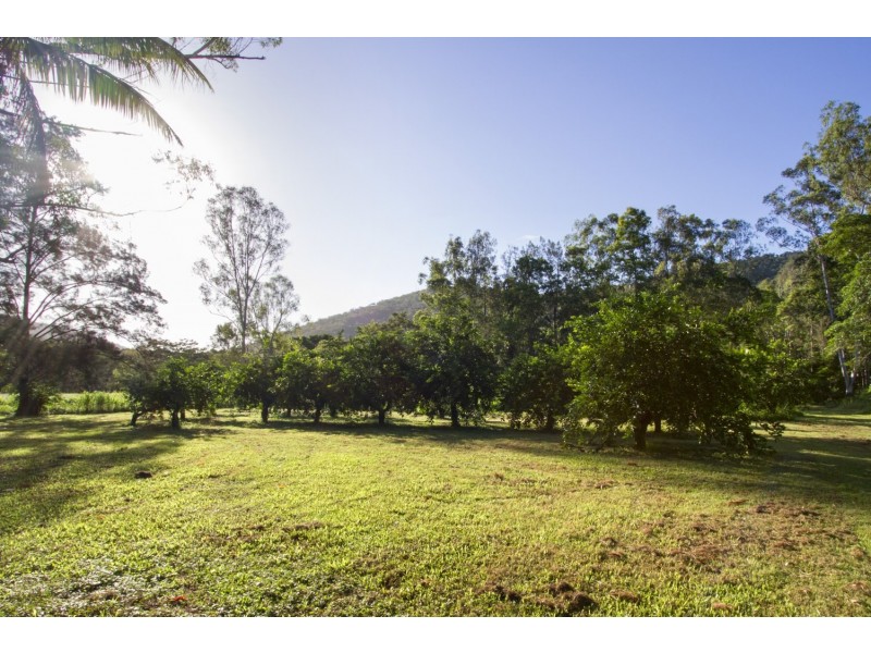 57 Forestry Road, Brandy Creek QLD 4800