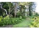 57 Forestry Road, Brandy Creek QLD 4800