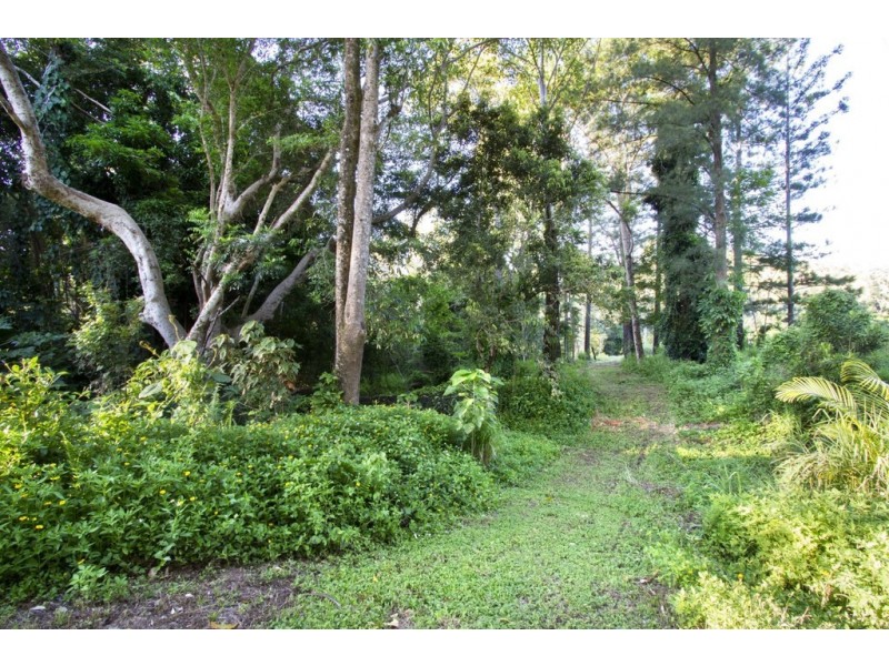 57 Forestry Road, Brandy Creek QLD 4800